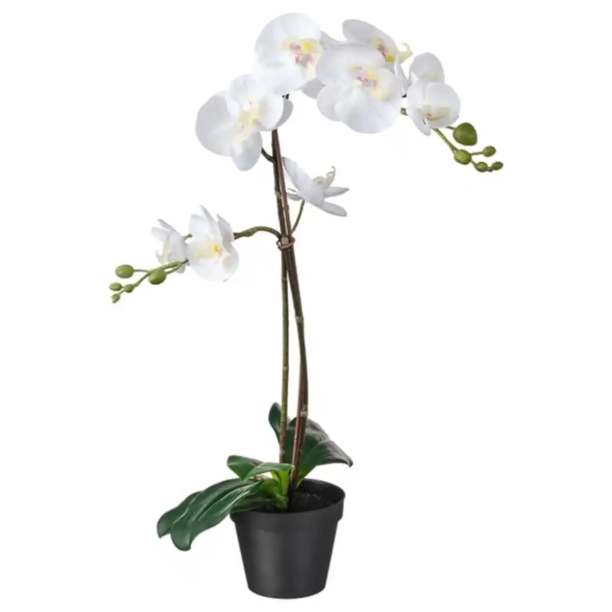 Bild 1 von FEJKA Topfpflanze, künstlich, Orchidee weiß, 12 cm