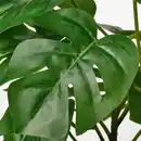Bild 3 von FEJKA Topfpflanze, künstlich, drinnen/draußen Monstera, 12 cm