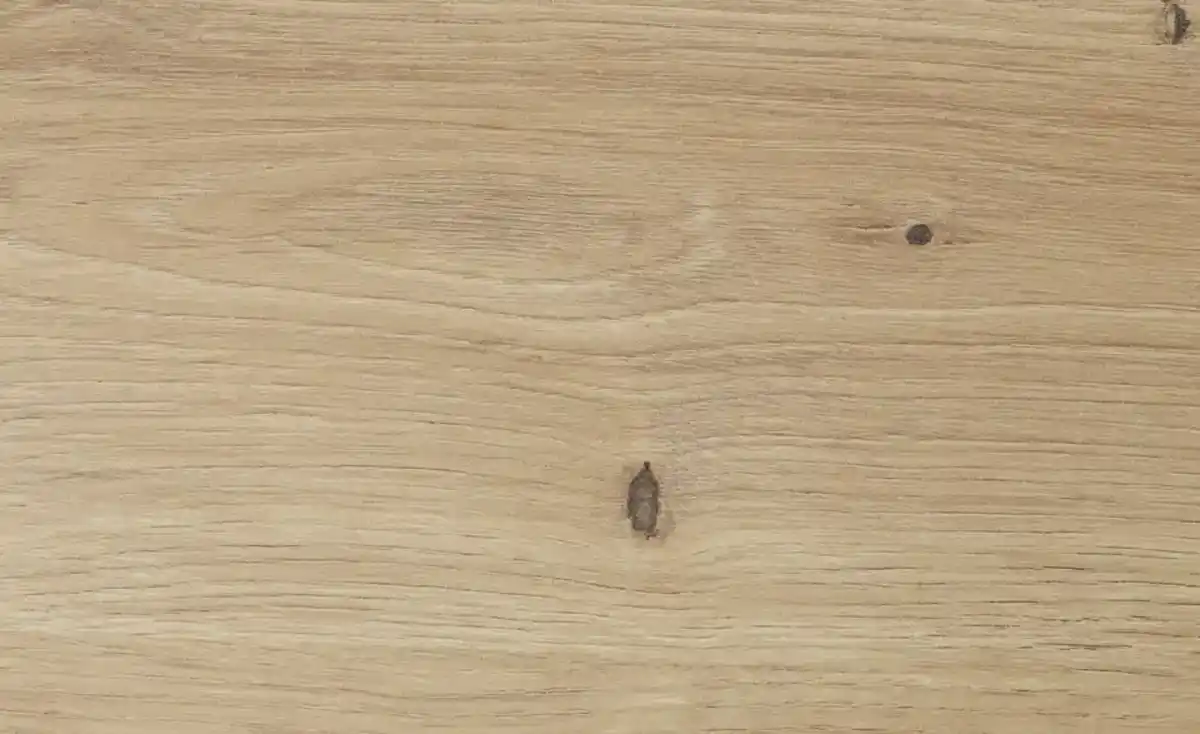 Bild 2 von Sideboard Calvas