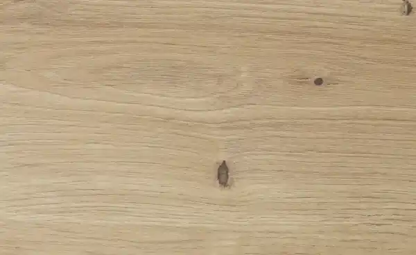 Bild 2 von Sideboard Calvas