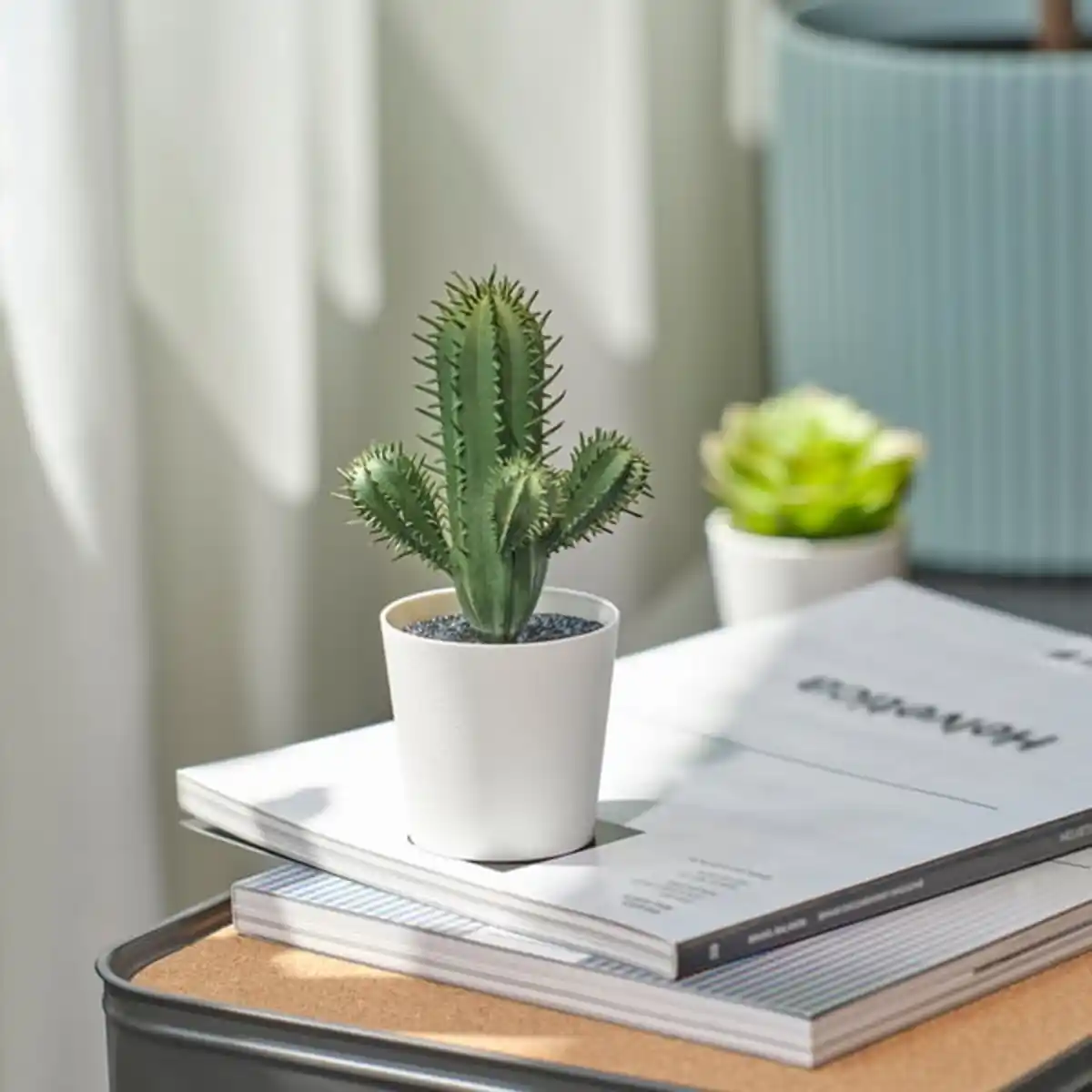 Bild 4 von FEJKA Topfpflanze, künstlich, drinnen/draußen Kaktus, 6 cm