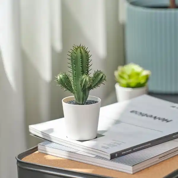 Bild 4 von FEJKA Topfpflanze, künstlich, drinnen/draußen Kaktus, 6 cm