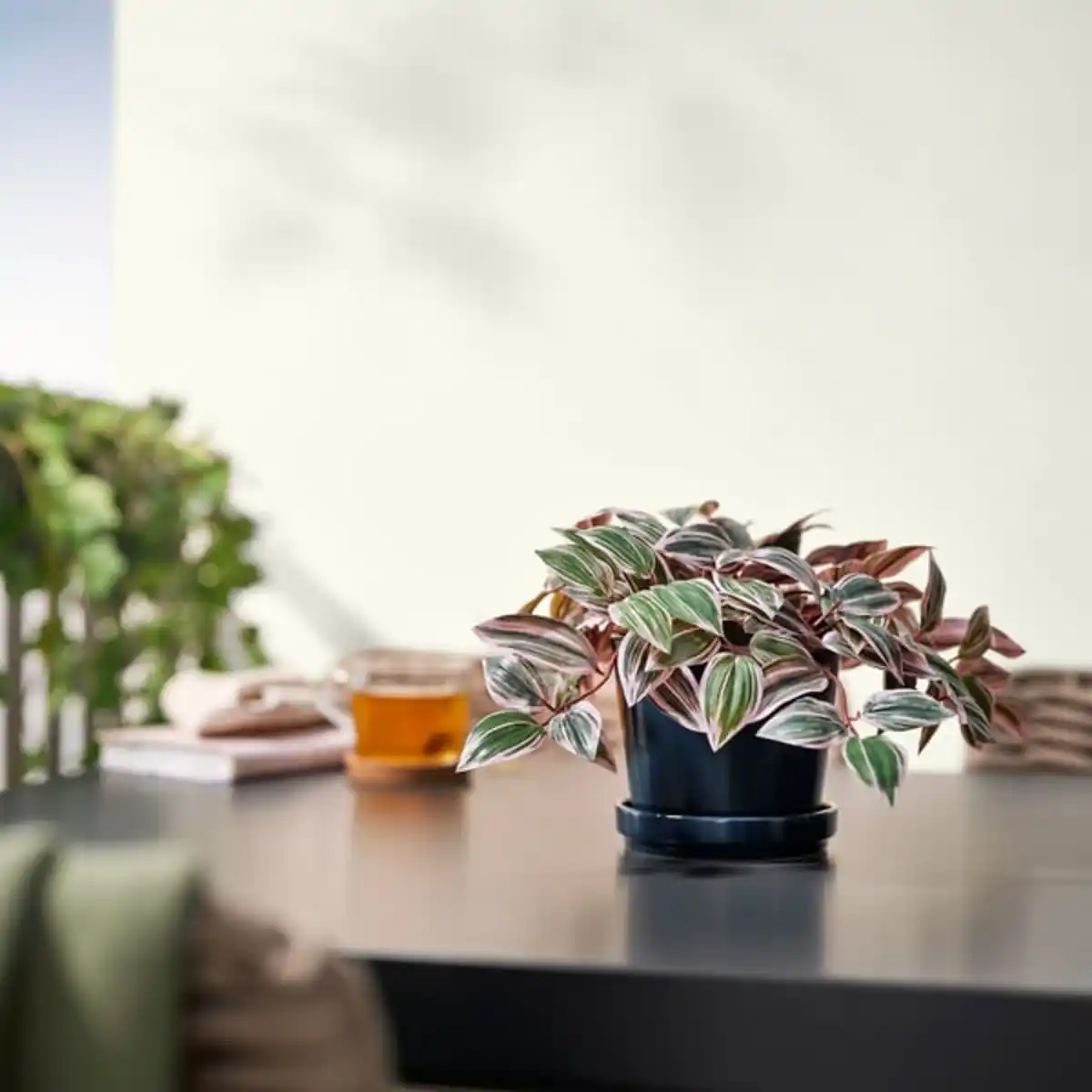 Bild 3 von FEJKA Topfpflanze, künstlich, drinnen/draußen Dreimasterblume/lila, 12 cm