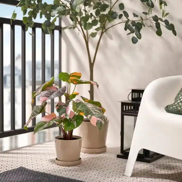 Bild 2 von FEJKA Topfpflanze, künstlich, drinnen/draußen Philodendron/grün/rosa, 15 cm