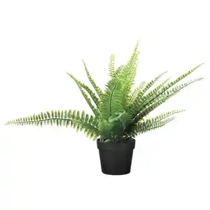 FEJKA Topfpflanze, künstlich, drinnen/draußen Farn, 9 cm