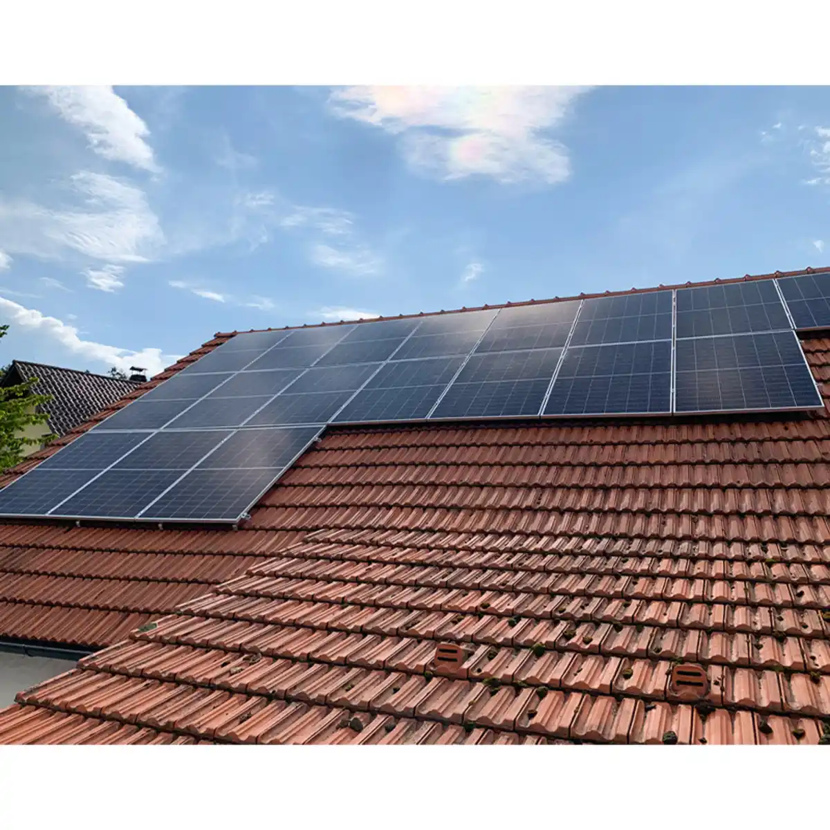 Bild 2 von Diamond Car XXXL-Teleskop-Universal-Waschbürste 5 m