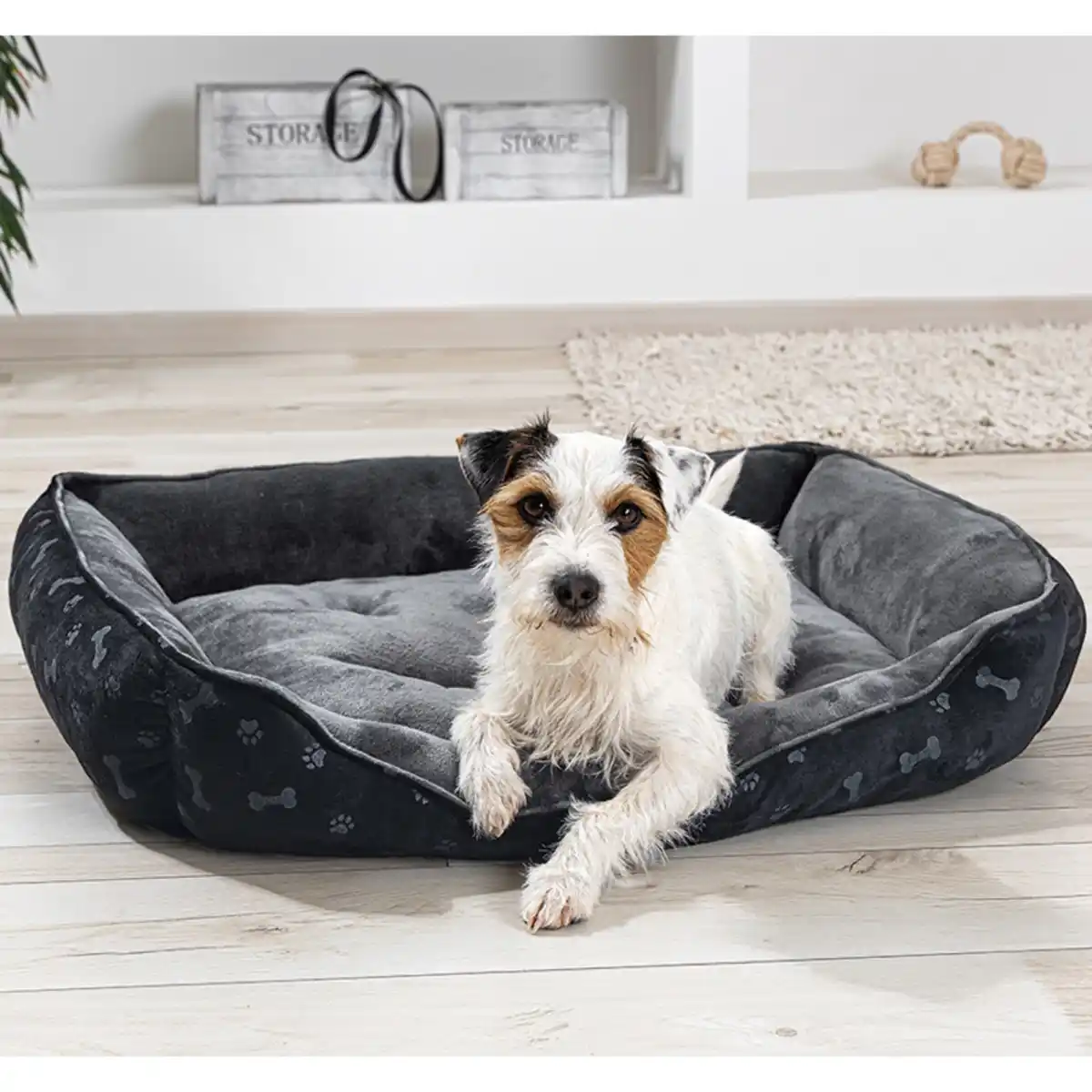 Bild 1 von Roy Haustier-Körbchen "Falco"