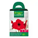 Bild 4 von Finest Garden Amaryllis