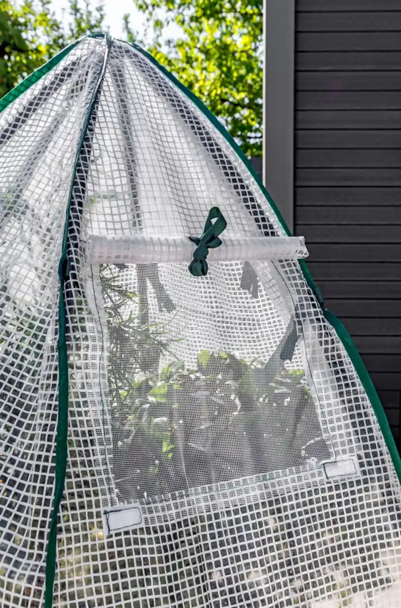 Bild 4 von Winter Gewächshaus, ca. 120 x 180 cm