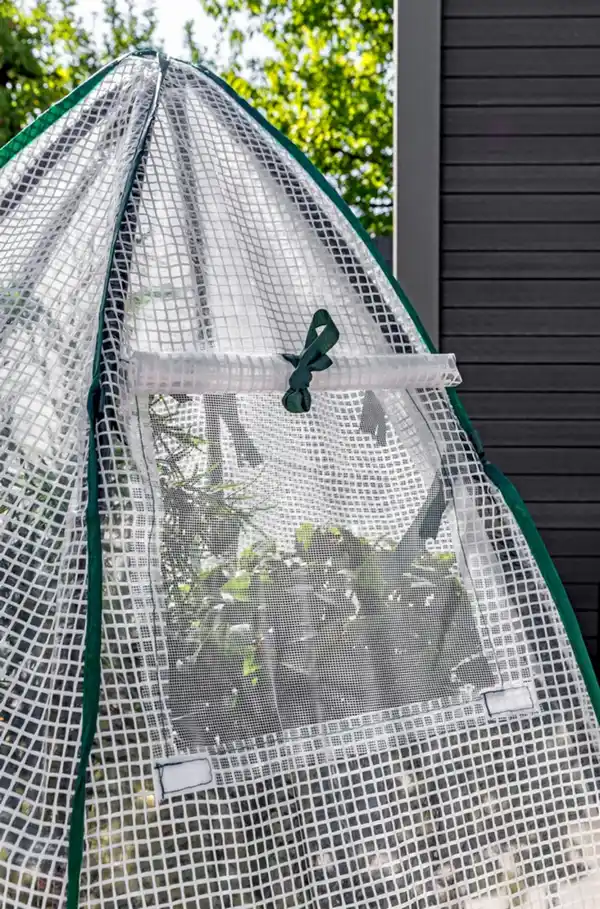 Bild 4 von Winter Gewächshaus, ca. 120 x 180 cm