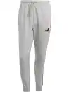 Bild 1 von Herren Jogginghose Grau