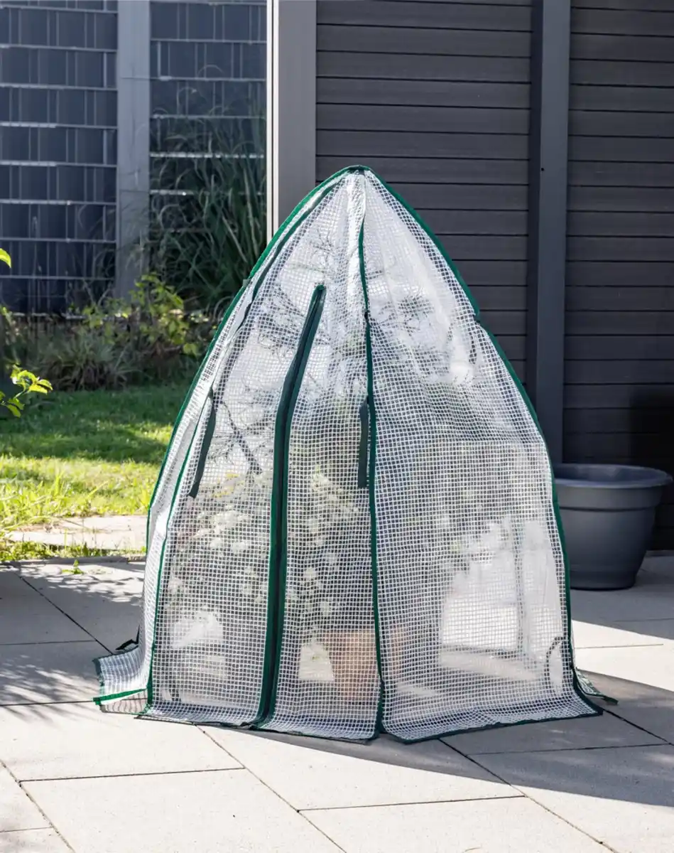 Bild 3 von Winter Gewächshaus, ca. 120 x 180 cm