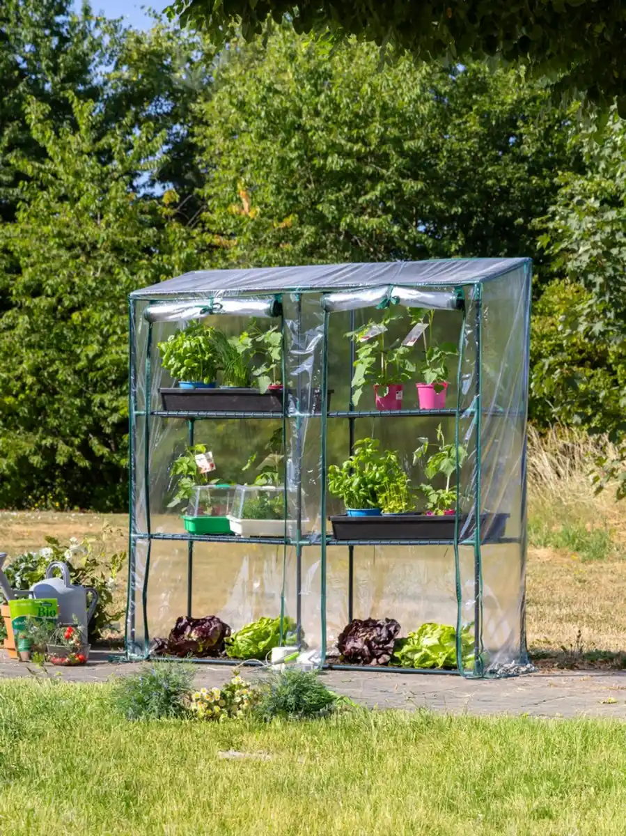 Bild 1 von Foliengewächshaus mit 3 Ablagen mit Tür zum Aufrollen
