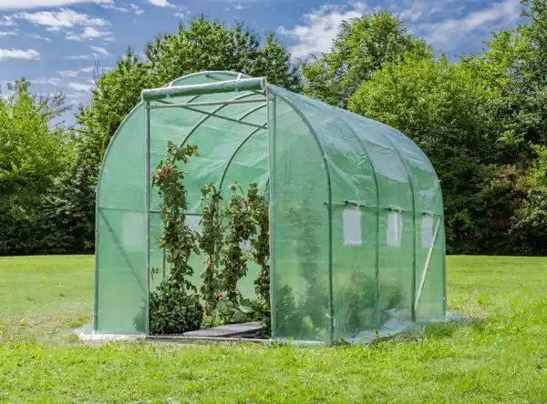 Bild 3 von Foliengewächshaus, Tomatengewächshaus mit 6 Fenster ca. 300x200x200 cm