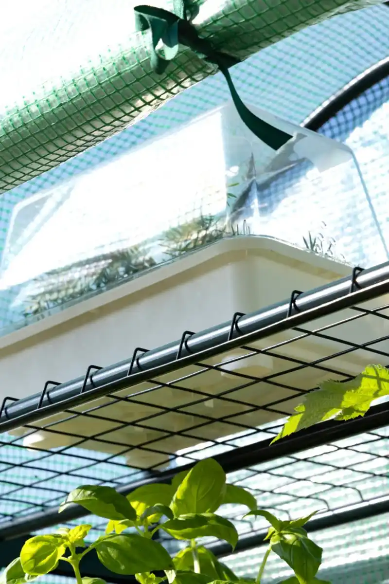 Bild 2 von Foliengewächshaus mit 4 Ablagen, Grün