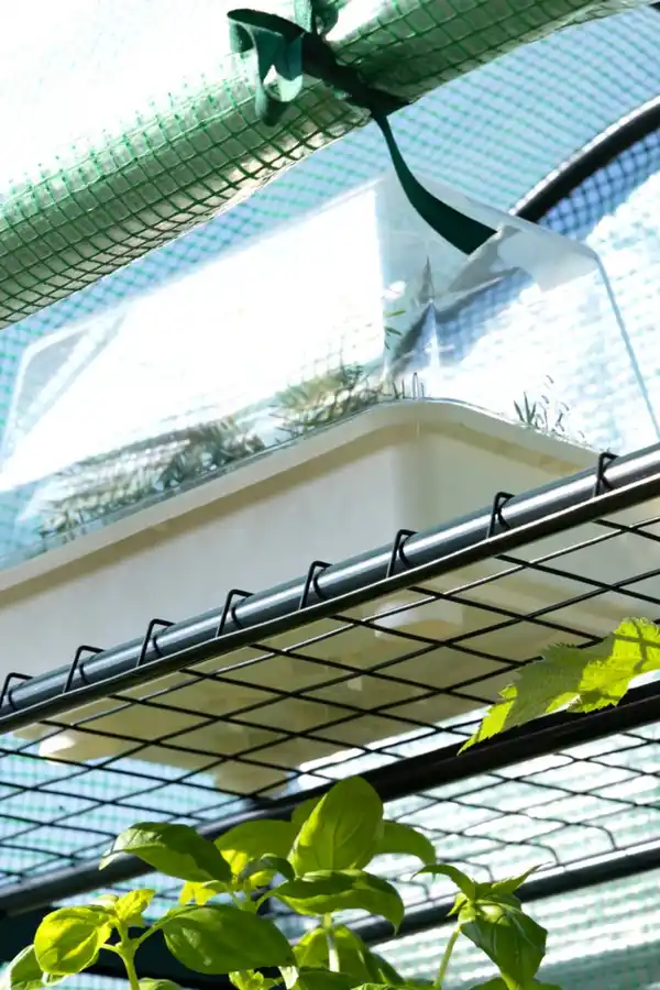 Bild 2 von Foliengewächshaus mit 4 Ablagen, Grün