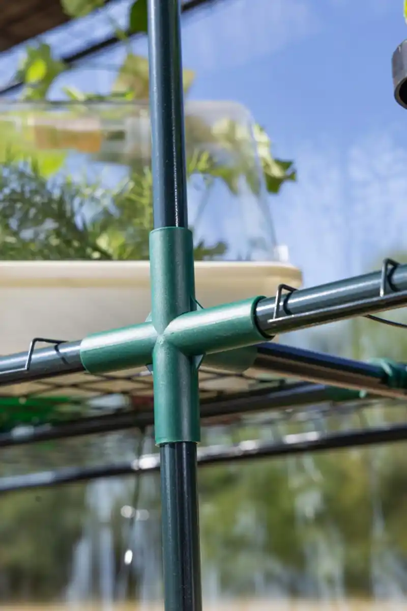 Bild 3 von Foliengewächshaus mit 3 Ablagen mit Tür zum Aufrollen