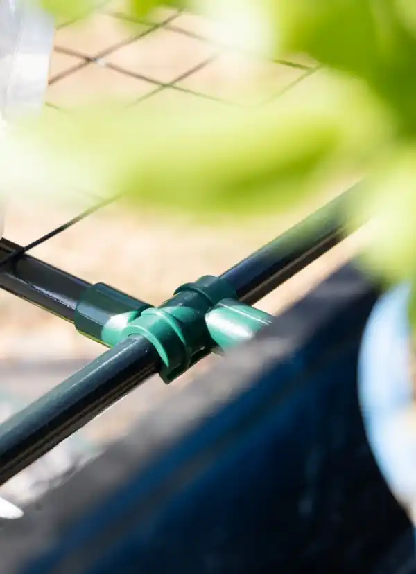 Bild 4 von Foliengewächshaus mit 3 Ablagen mit Tür zum Aufrollen