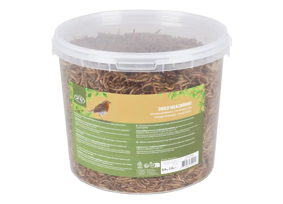Bild 1 von Mehlwürmer getrocknet im 900g Eimer