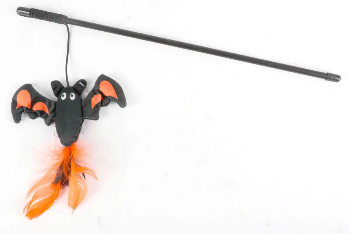 Bild 1 von Halloween-Katzenangel versch. Motive