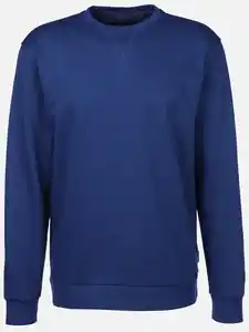 Herren Sweatshirt unifarben Blau