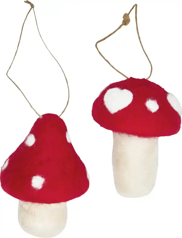Bild 2 von IDEENWELT Filz Pilze 2er Set