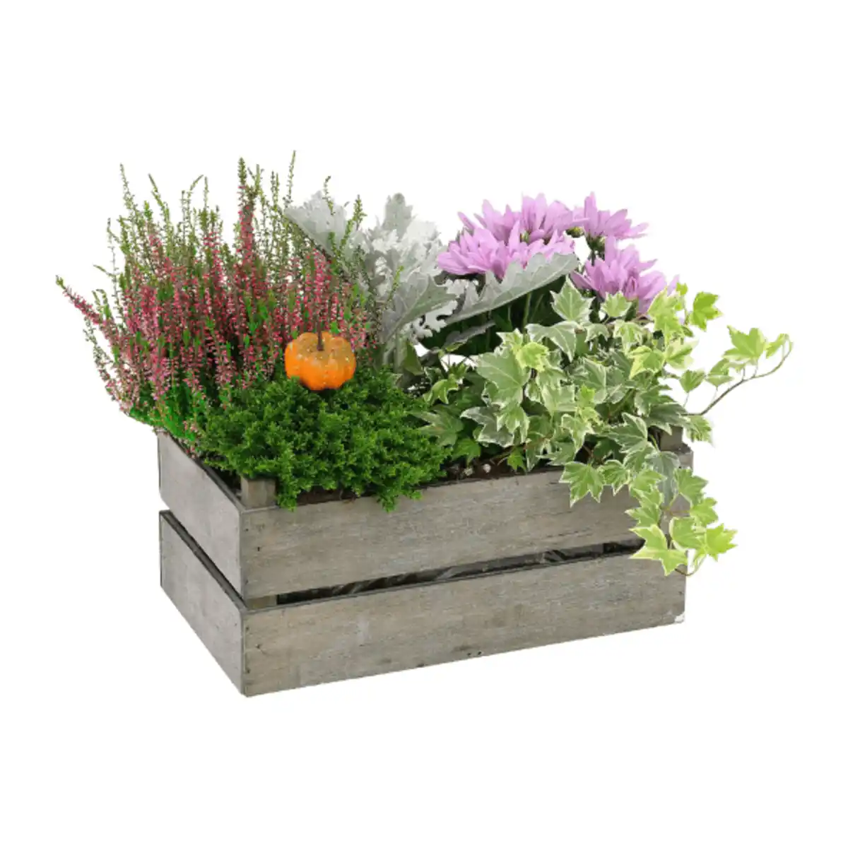 Bild 3 von GARDENLINE Bepflanztes Holzgefäß