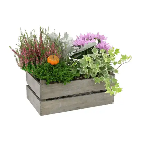 Bild 3 von GARDENLINE Bepflanztes Holzgefäß