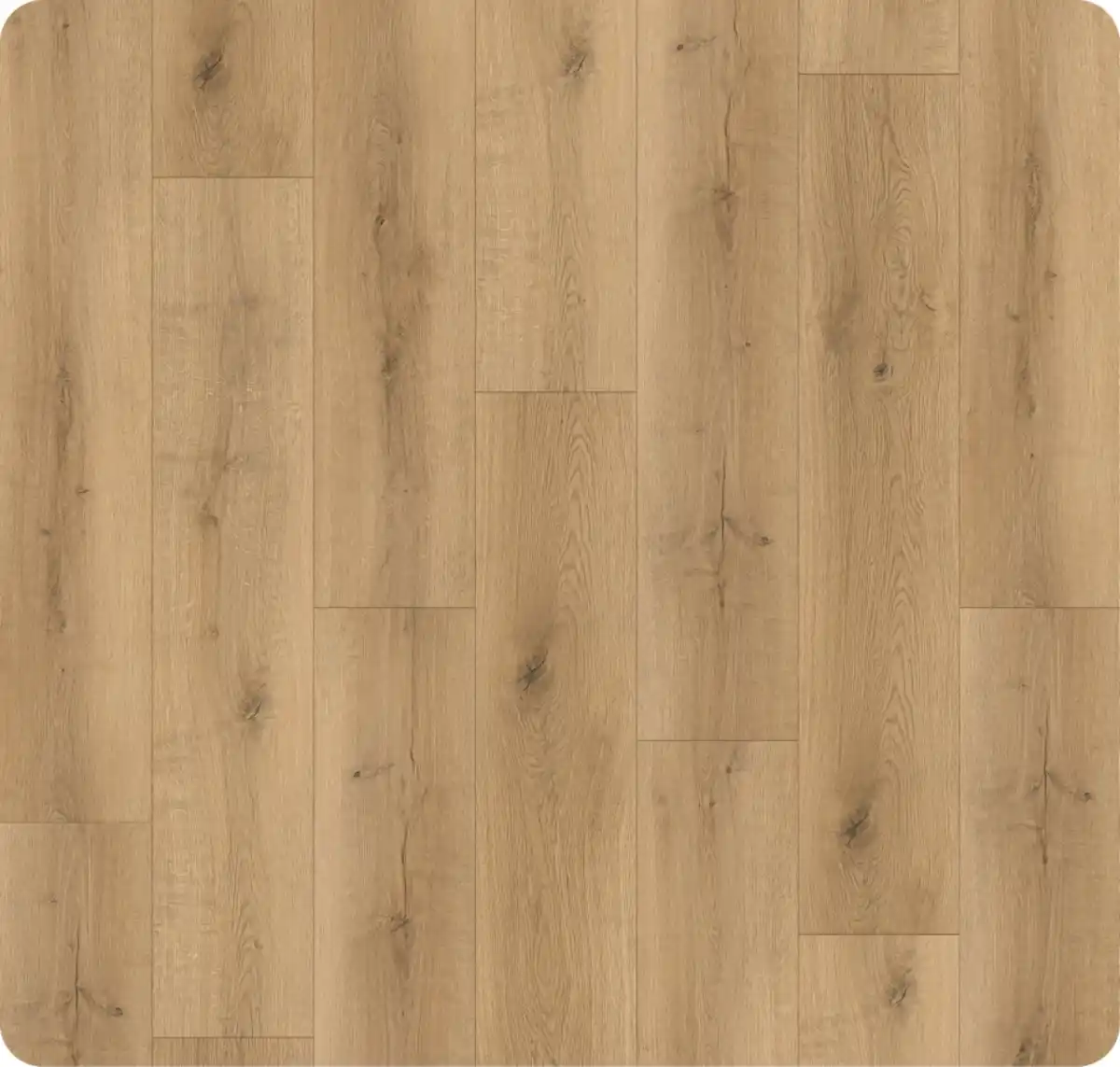 Bild 1 von Click-Vinylboden