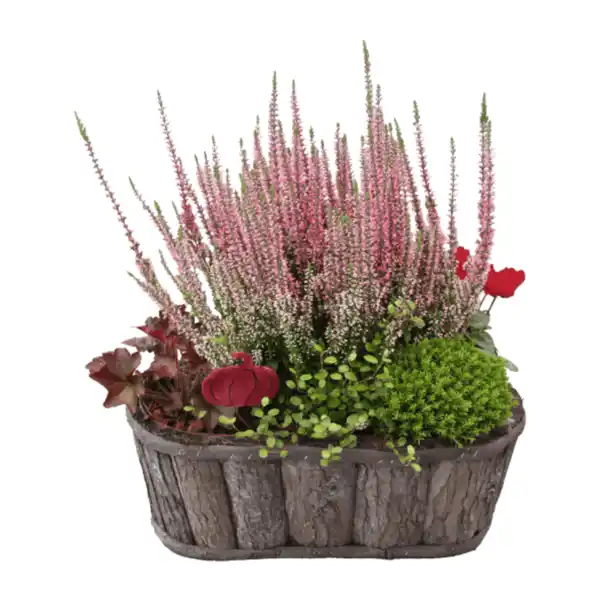 Bild 2 von GARDENLINE Bepflanztes Holzgefäß