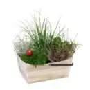 Bild 4 von GARDENLINE Bepflanztes Holzgefäß