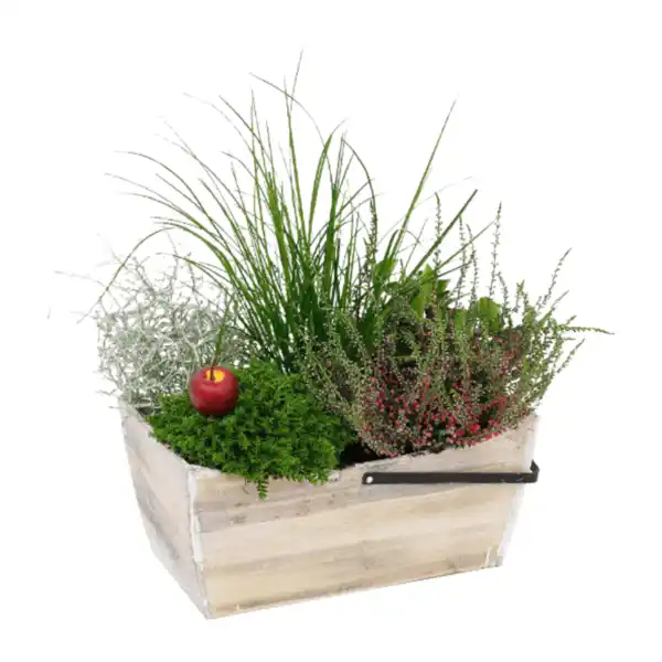 Bild 4 von GARDENLINE Bepflanztes Holzgefäß