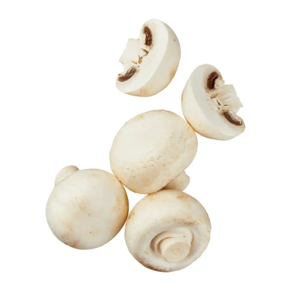 Bild 1 von Kulturchampignons groß, weiß 400g