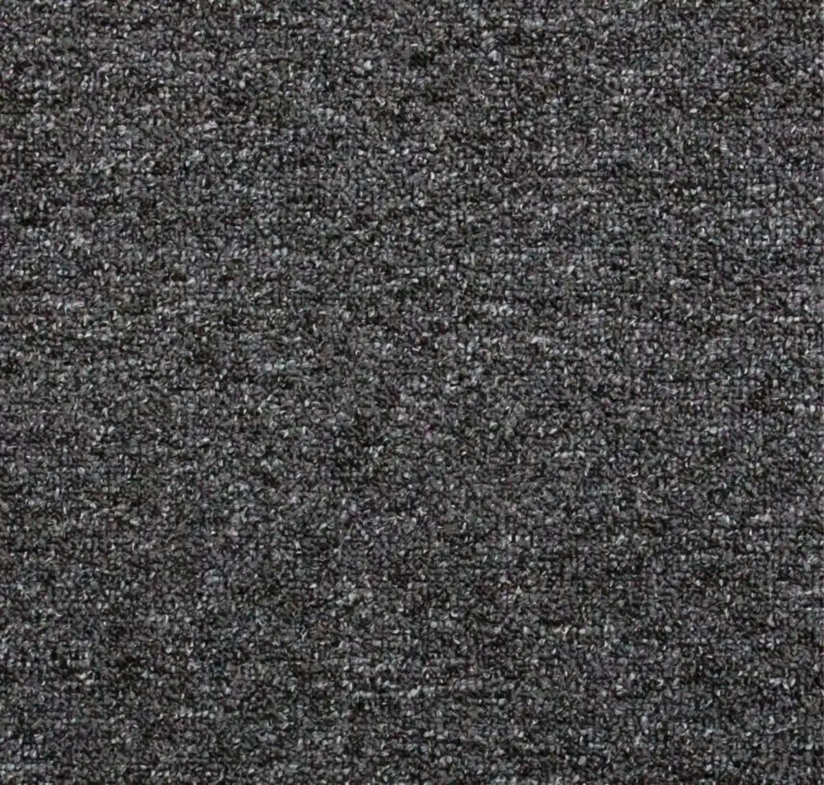 Bild 1 von Feinschlingen-Teppich »Rambo«