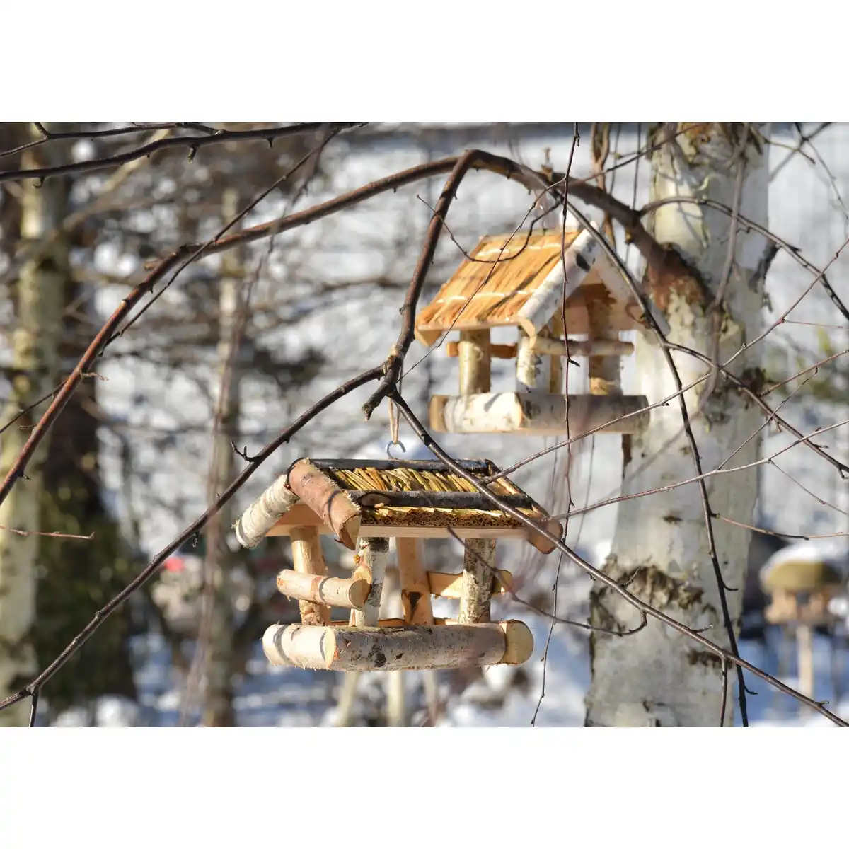 Bild 3 von PATKAR Vogelhaus, 19x19x24 cm (BxHxT), zum Aufhängen