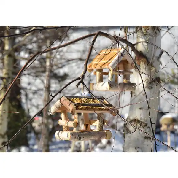 Bild 3 von PATKAR Vogelhaus, 19x19x24 cm (BxHxT), zum Aufhängen