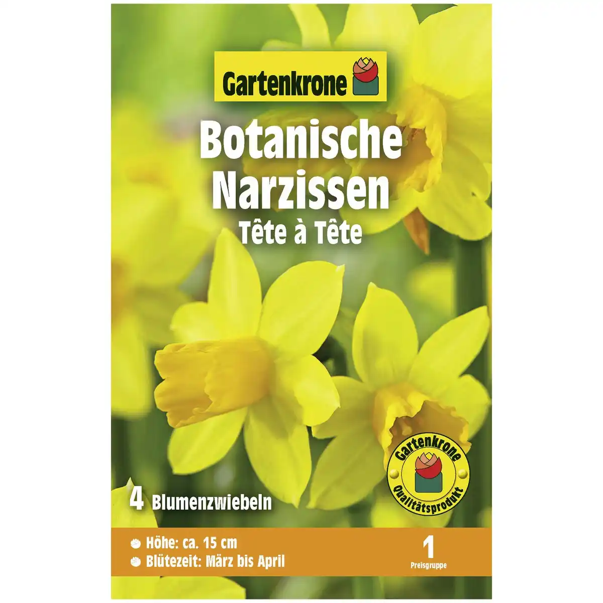 Bild 1 von Gartenkrone Narzisse, 4 Blumenzwiebeln, gelb