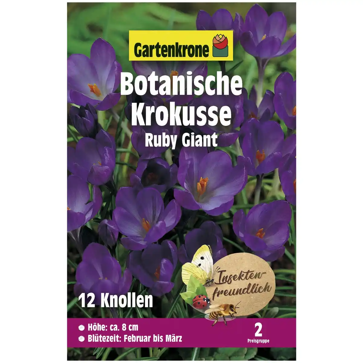 Bild 1 von Gartenkrone Krokusse, 12 Blumenzwiebeln, purpurviolett