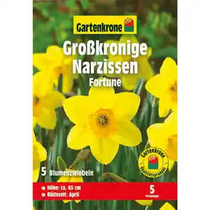 Gartenkrone Narzisse »Fortune«, 5 Stück, gelb/orange