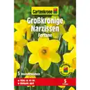 Bild 1 von Gartenkrone Narzisse »Fortune«, 5 Stück, gelb/orange