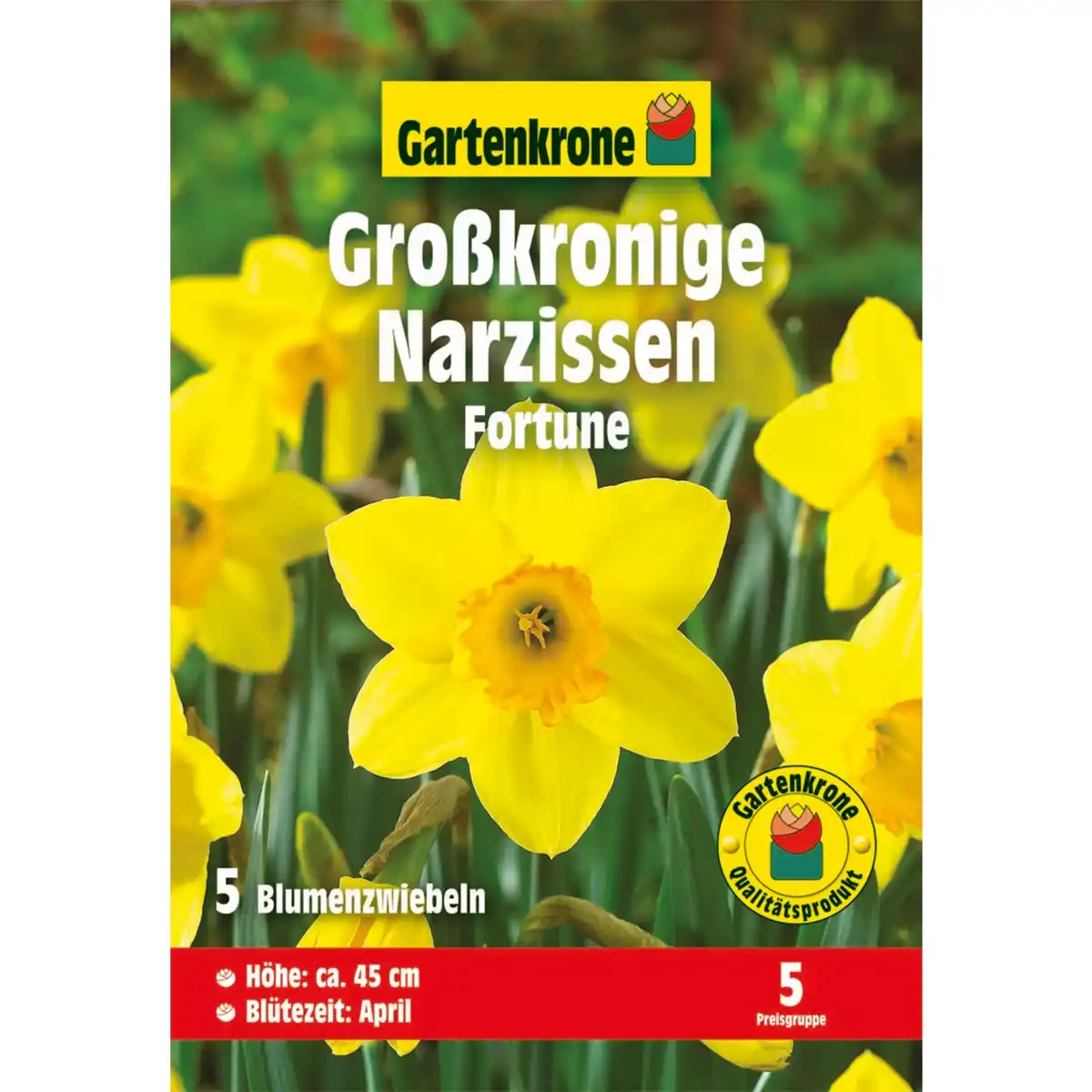 Bild 1 von Gartenkrone Narzisse »Fortune«, 5 Stück, gelb/orange
