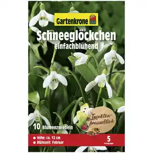 Gartenkrone Schneeglöckchen, 10 Blumenzwiebeln, weiß-grün