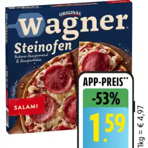 Original Wagner Steinofen Pizza, Pizzies oder Flammkuchen