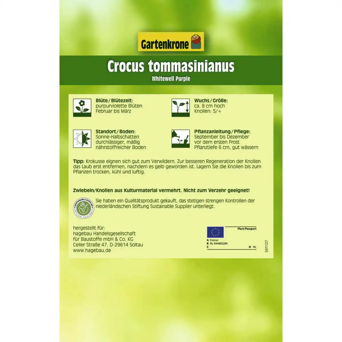 Bild 2 von Gartenkrone Krokusse, 15 Blumenzwiebeln, purpurviolett