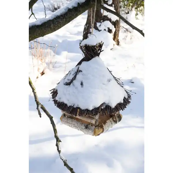 Bild 4 von PATKAR Vogelhaus, 32x.36 cm (ØxH), zum Aufhängen, Birkenholz