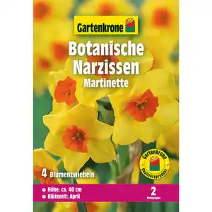 Gartenkrone Narzisse »Martinette«, 4 Stück, gelb-orange