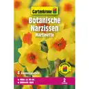 Bild 1 von Gartenkrone Narzisse »Martinette«, 4 Stück, gelb-orange