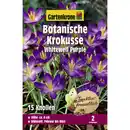 Bild 1 von Gartenkrone Krokusse, 15 Blumenzwiebeln, purpurviolett