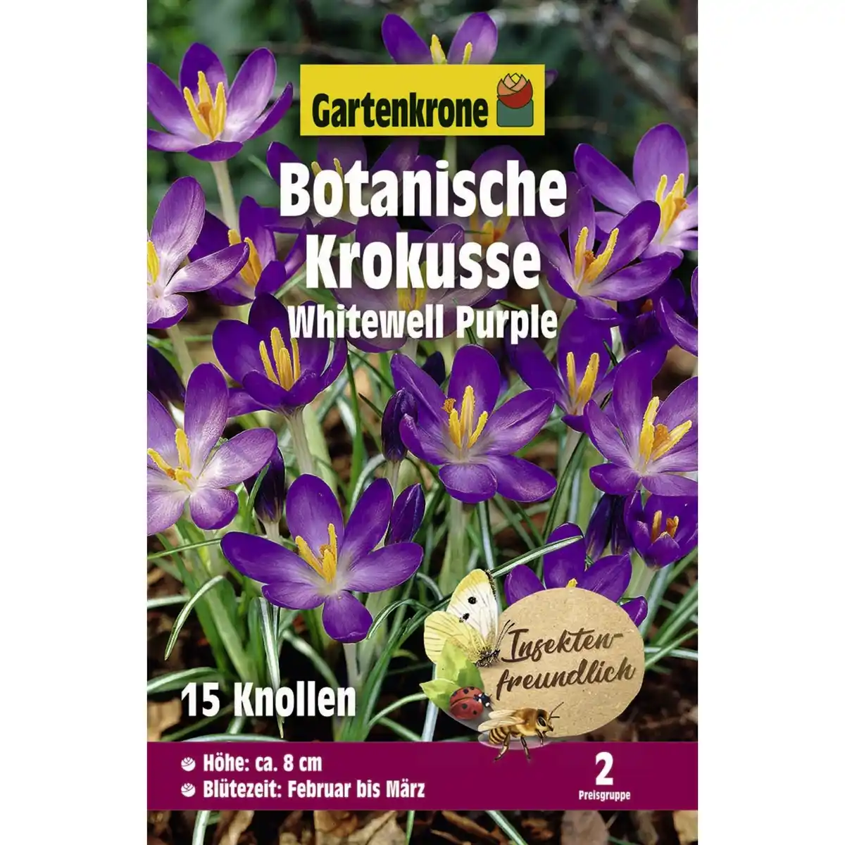 Bild 1 von Gartenkrone Krokusse, 15 Blumenzwiebeln, purpurviolett