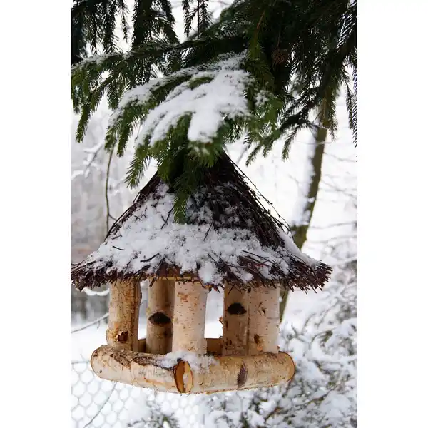 Bild 3 von PATKAR Vogelhaus, 32x.36 cm (ØxH), zum Aufhängen, Birkenholz